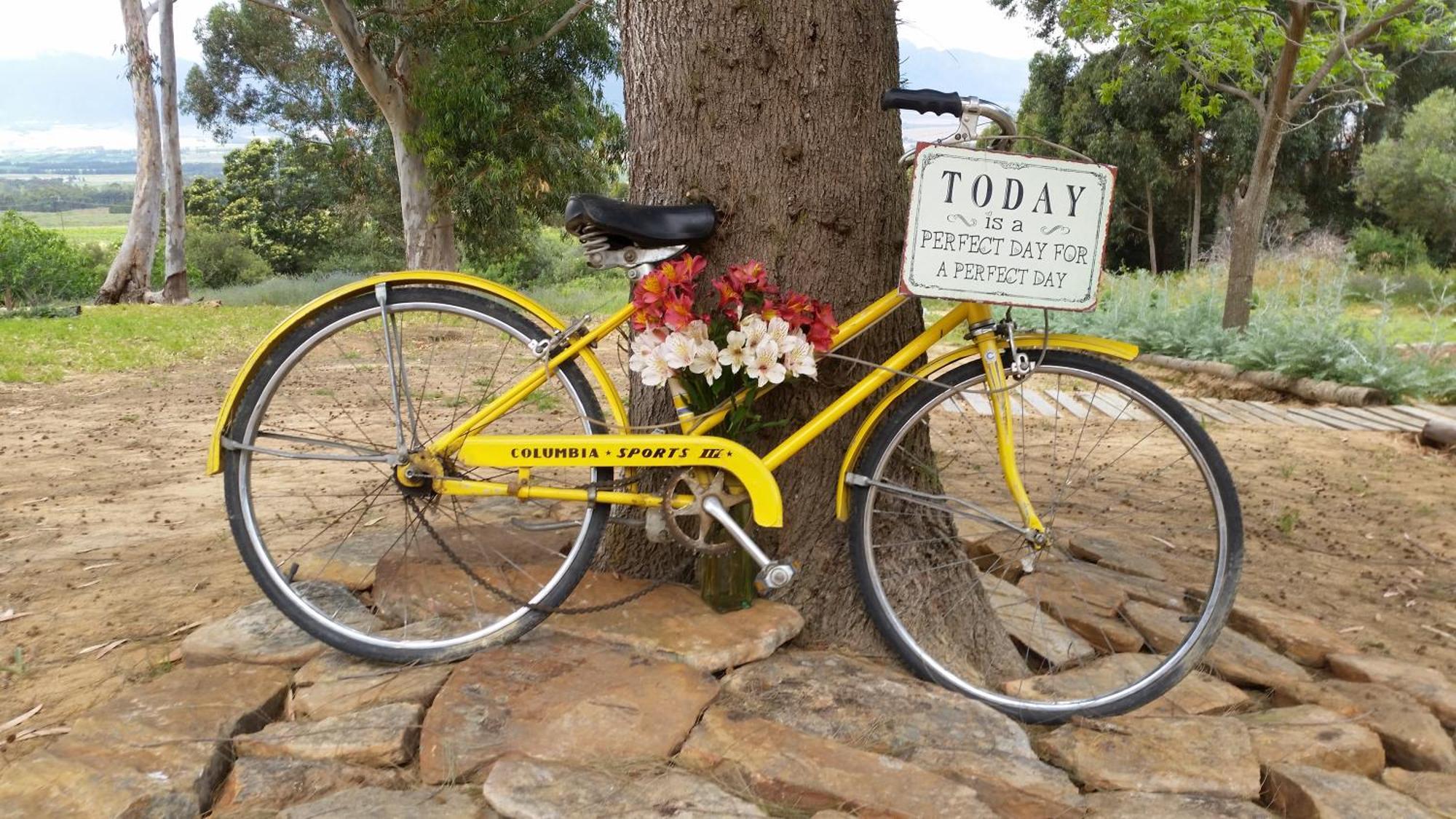 Oudekloof Wine Estate Villa Tulbagh Exteriör bild
